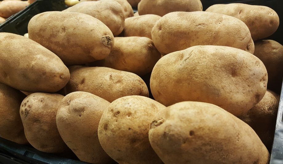 5 pasos para plantar patatas en Escocia