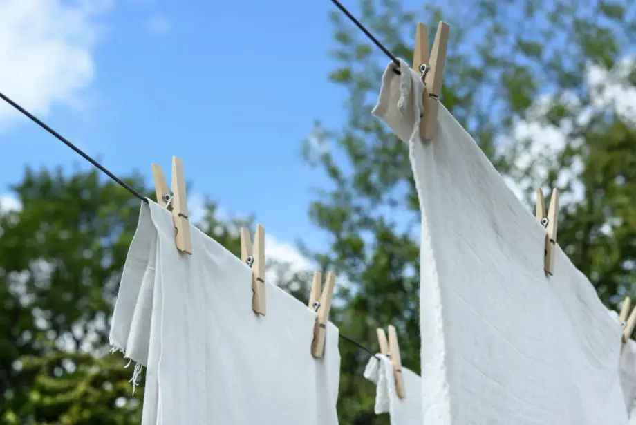 Cuándo y cómo lavar una carpa en 8 sencillos pasos