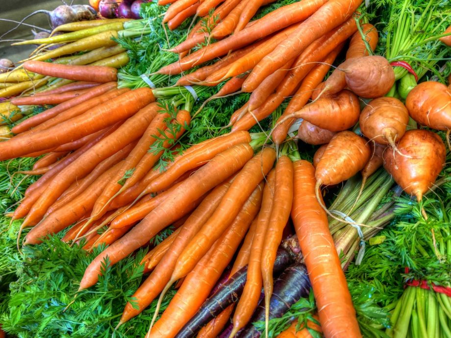 Los fundamentos del cultivo de zanahorias en Italia