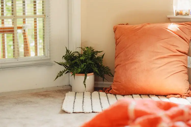 ¿Qué es una almohada de piso? ¡5 hechos asombrosos!