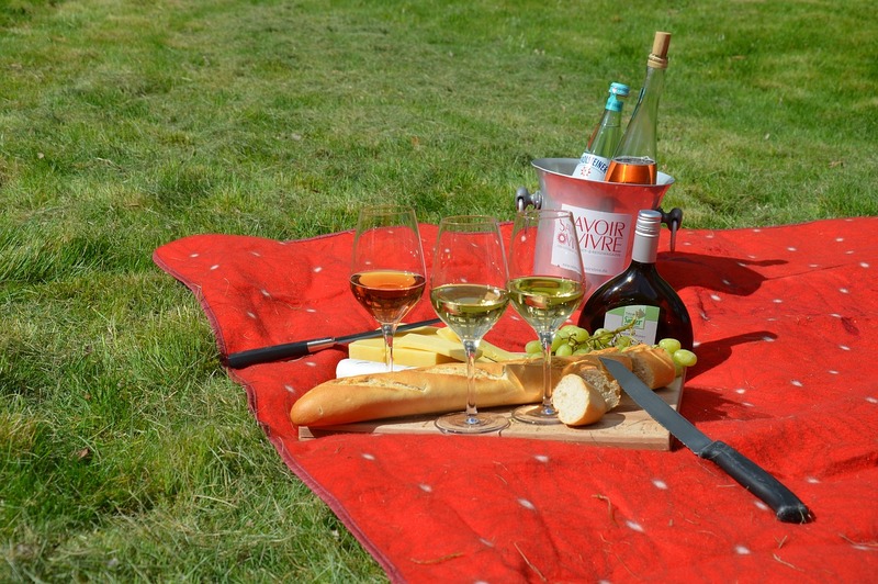 Cómo hacer una manta de picnic: 4 sencillos pasos para principiantes