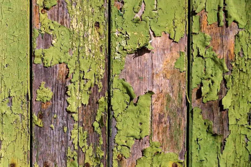 5 formas de eliminar el moho verde de la plataforma de madera fácilmente