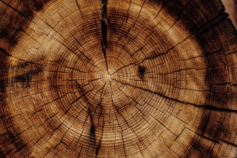 6 pasos de bricolaje sobre cómo reparar la madera dañada por el agua fácilmente en casa