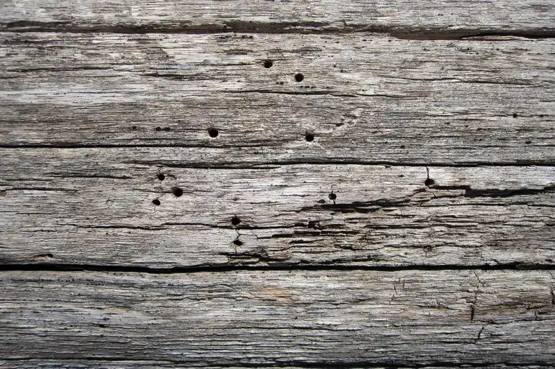 7 sencillos pasos de bricolaje sobre cómo reparar madera natural dañada por el agua