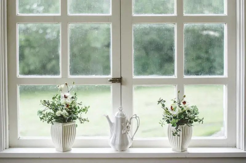 Cómo deshacerse del moho negro alrededor de las ventanas: 4 pasos útiles