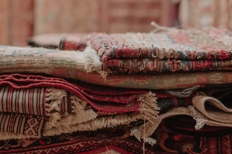 Cómo quitar el moho de la alfombra: 4 sencillas soluciones de bricolaje