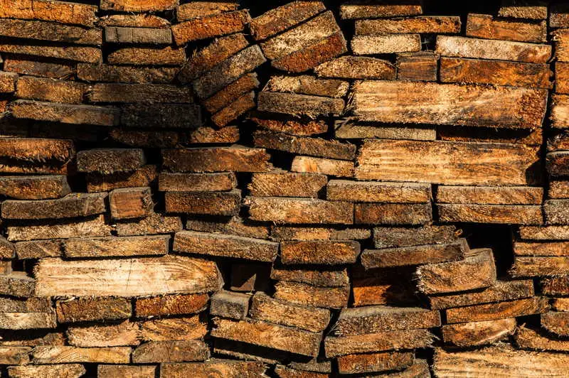 Cómo quitar el moho de la madera cortada en bruto: 5 sencillos pasos de bricolaje