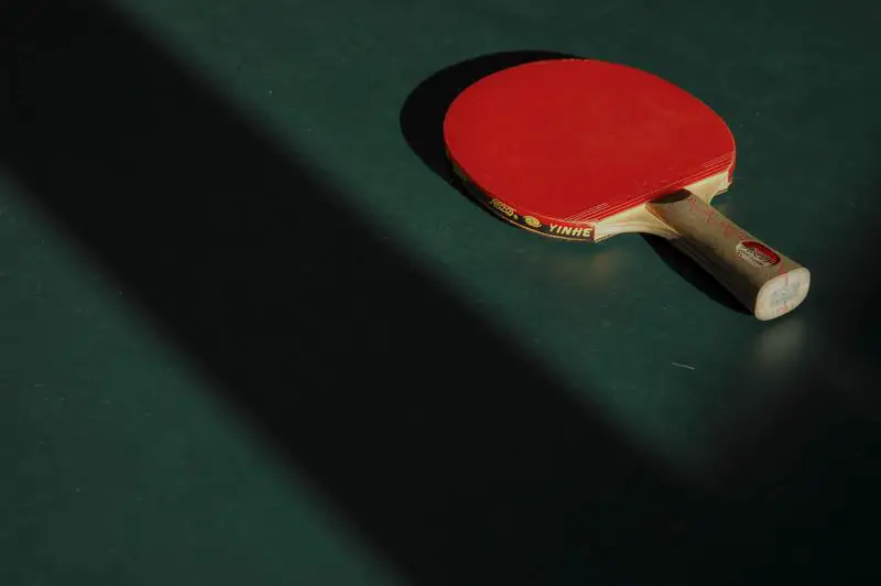 Cómo reparar una mesa de ping pong dañada por el agua: 3 pasos útiles