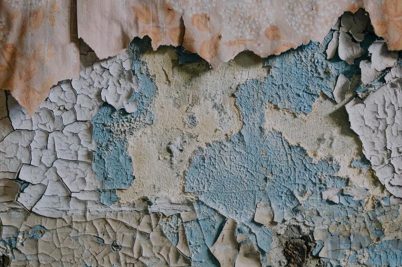 Qué se necesita para reparar pintura dañada por agua: 4 procesos