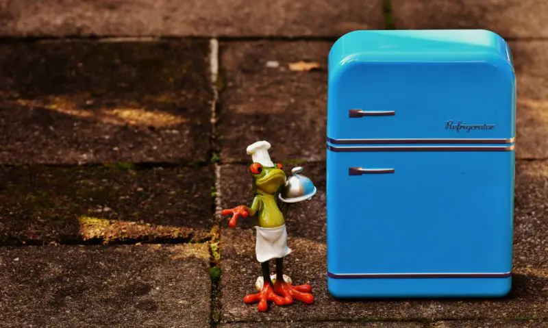 ¿Cómo limpiar la puerta del frigorífico? ¡3 sencillos pasos para un refrigerador de aspecto nuevo!