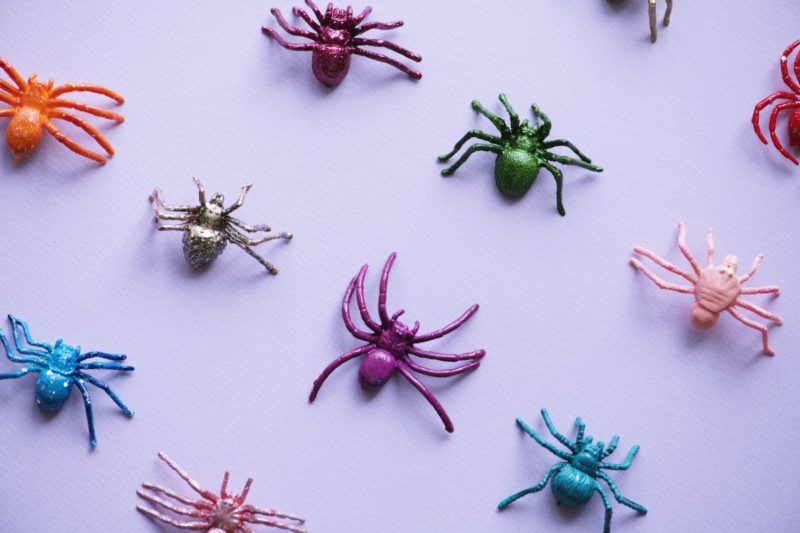 ¿Cómo mantener a las arañas alejadas de tu cama? ¡7 mejores formas!