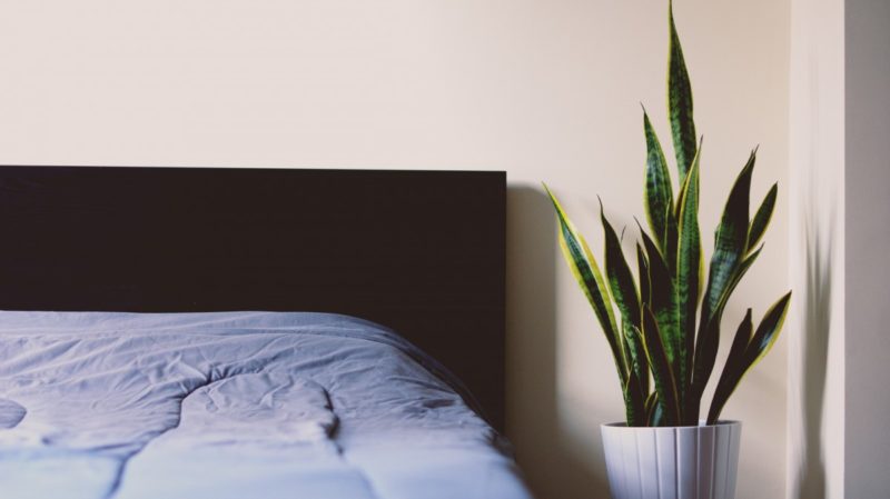 ¿Cómo poner una cubierta de colchón de espuma viscoelástica en tu cama?