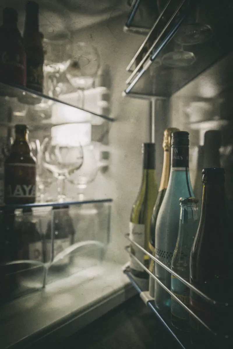 ¿Qué es un refrigerador de vino? ¡Sus 4 usos asombrosos!
