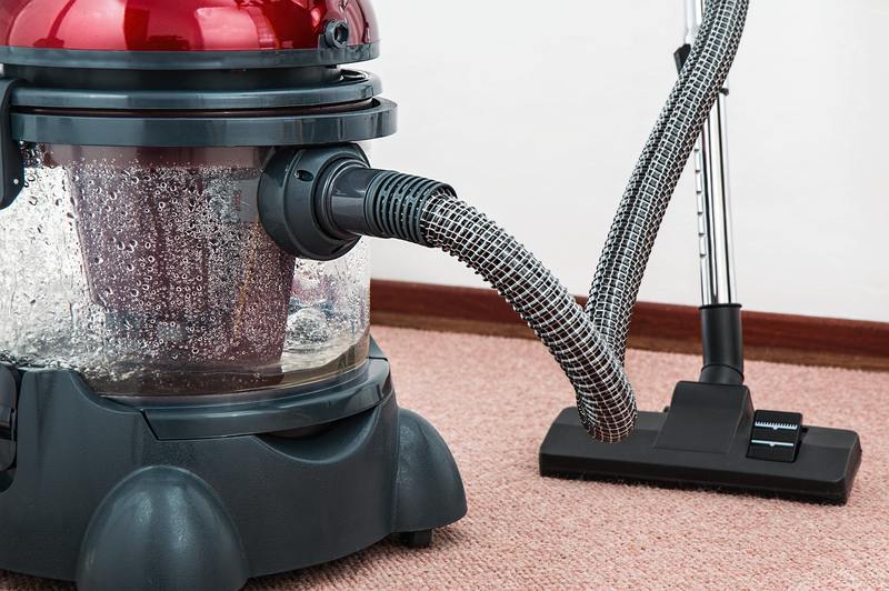 6 sencillos pasos para quitar el olor a moho de una alfombra mojada