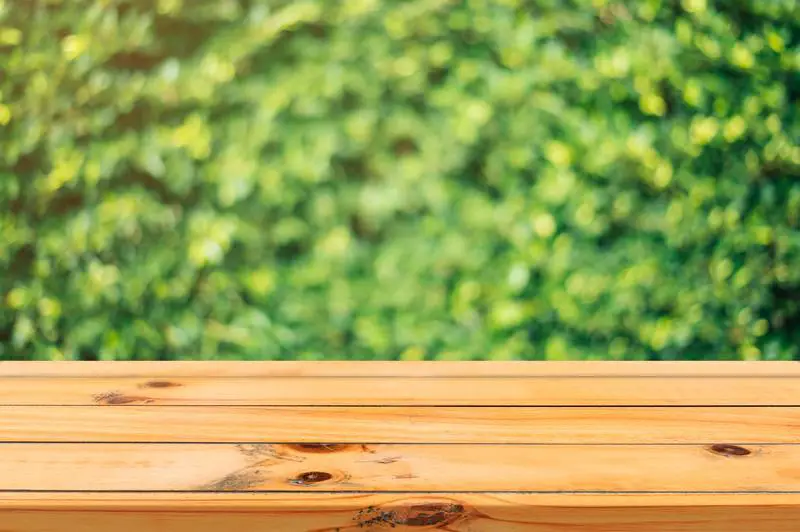 Cómo prevenir el moho en la madera sin pintar: 3 consejos esenciales
