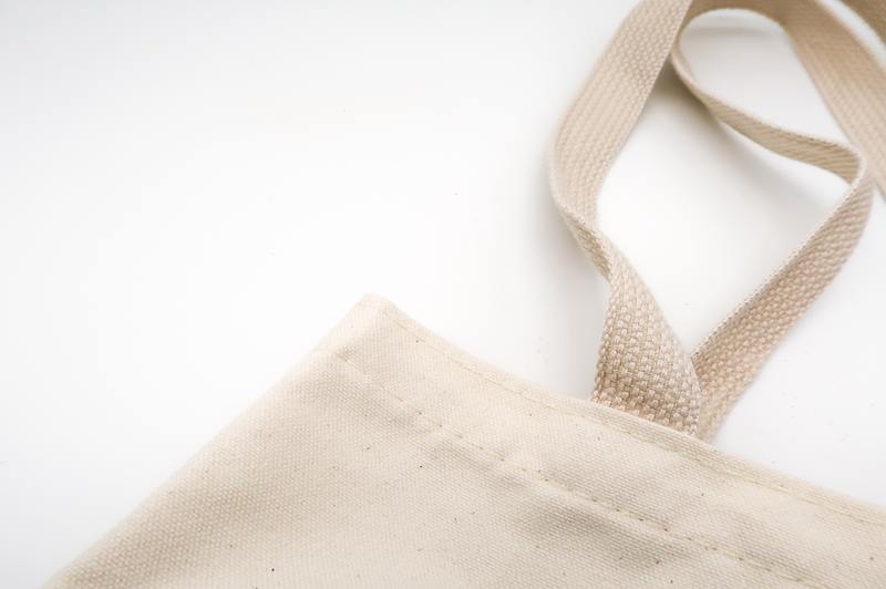 Cómo quitar el moho de las bolsas de lona: 2 mejores soluciones