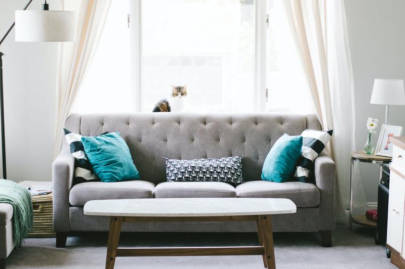 Cómo quitar el moho de los cojines del sofá: 5 sencillos pasos