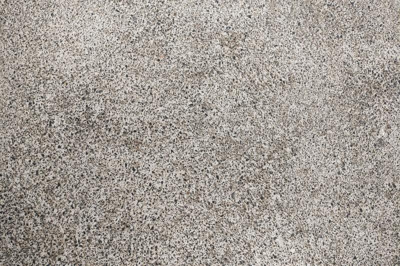Guía esencial de 3 pasos sobre cómo eliminar el moho del concreto