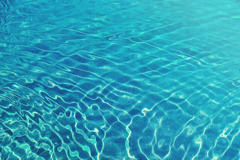 Pool Care 101: Cómo deshacerse fácilmente del moho de agua en la piscina