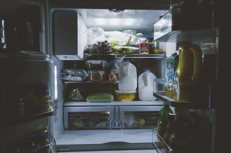 Qué causa el moho en el refrigerador y 2 formas de prevenirlo fácilmente