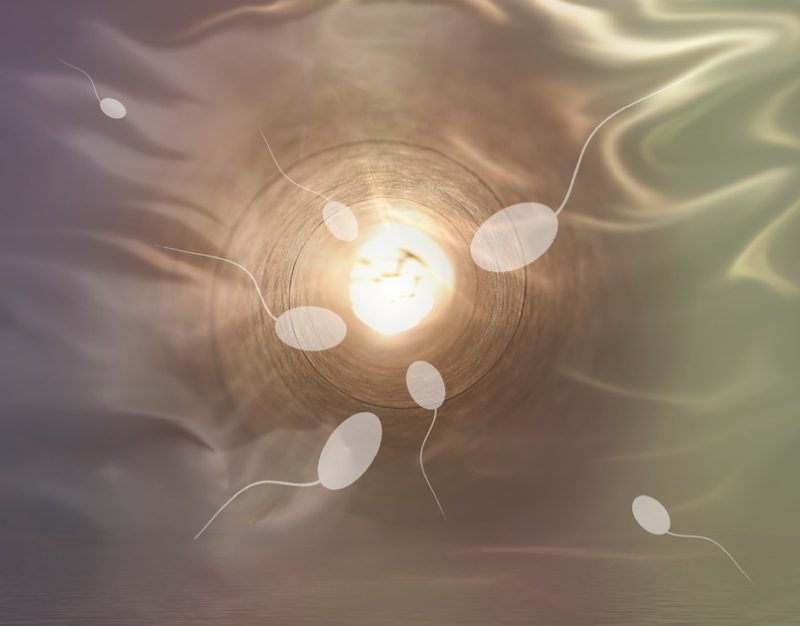 ¿Cuál es el proceso de donación de esperma? ¡6 cosas sorprendentes a tener en cuenta!