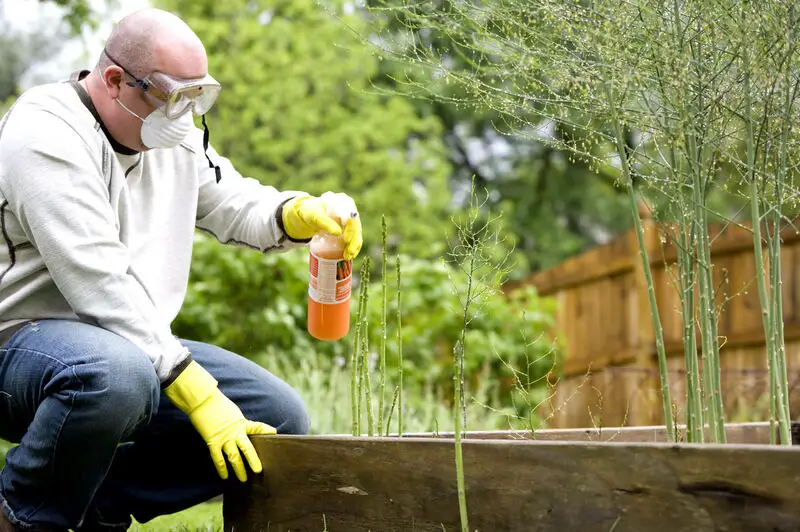 ¿Cuáles son los riesgos de usar pesticidas? 7 consejos importantes