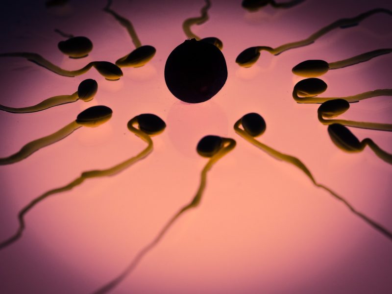 ¿Cuánto cuesta la donación de esperma? ¡Información importante sobre la donación de esperma!