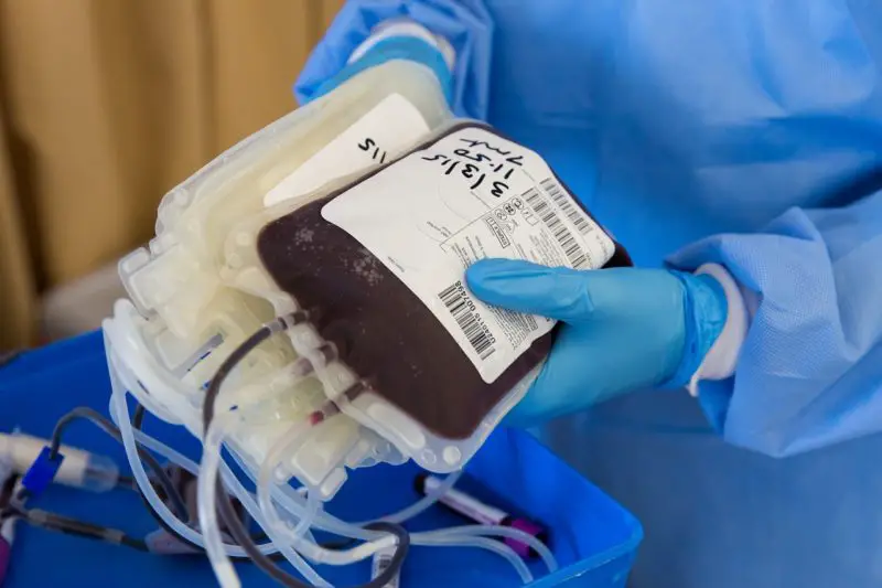 ¿Por qué es importante la donación de órganos? ¡5 pasos importantes para convertirse en donante de órganos!