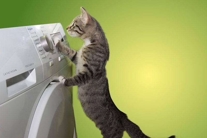 ¿Por qué mi secadora hace tanto ruido? ¡6 Razones Sorprendentes!
