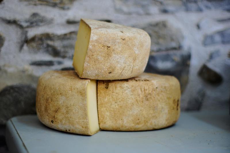 ¿Por qué se enmohece el queso? 8 mejores consejos para proteger su lechería