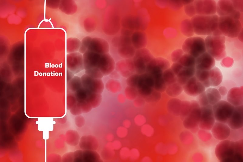 ¿Qué comer antes de la donación de sangre? ¡Evite 3 cosas sorprendentes!