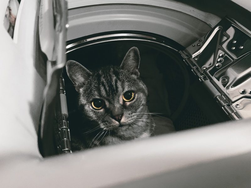 ¿Qué significa conexión de lavadora y secadora? ¡4 sencillos pasos para instalarlo!