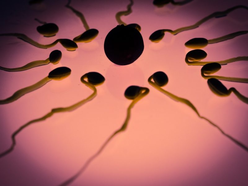 ¿Qué significa NI en la donación de esperma? ¡2 desventajas que debes tener en cuenta!