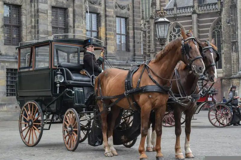 ¿Cuánto cuesta un caballo y un carruaje para una boda?